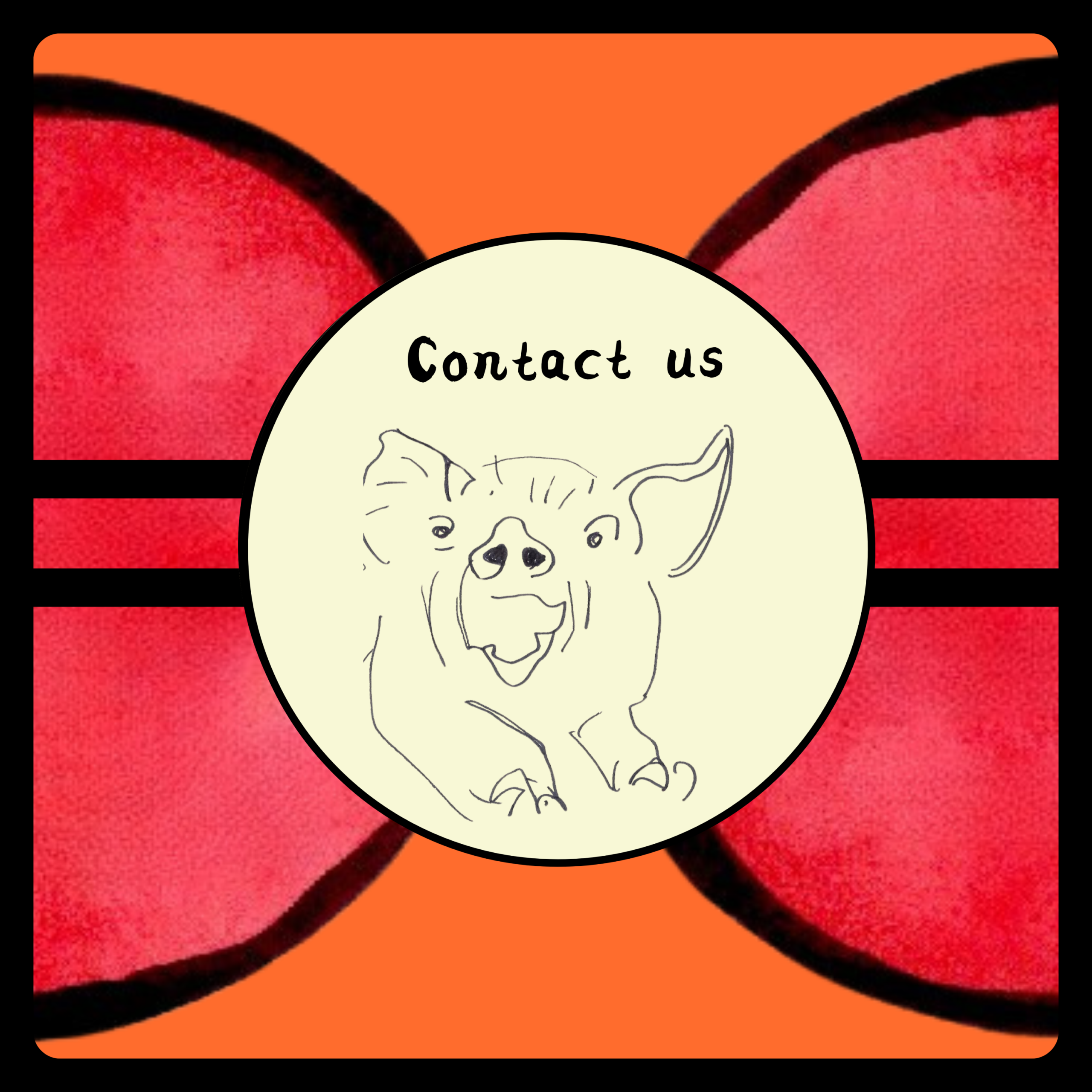 contact us